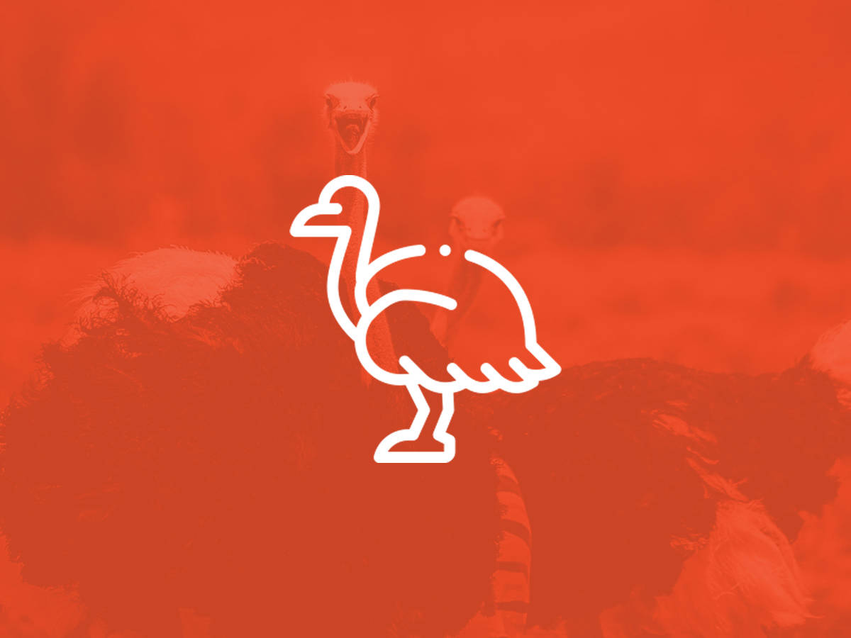 ranczo woliery muzeum przyrodniczego Minizoo w Parku Rozrywki Zieleniewo